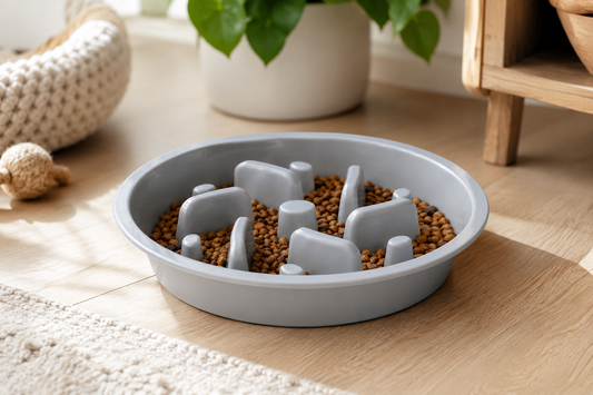 Slow Feeder Dog Bowl